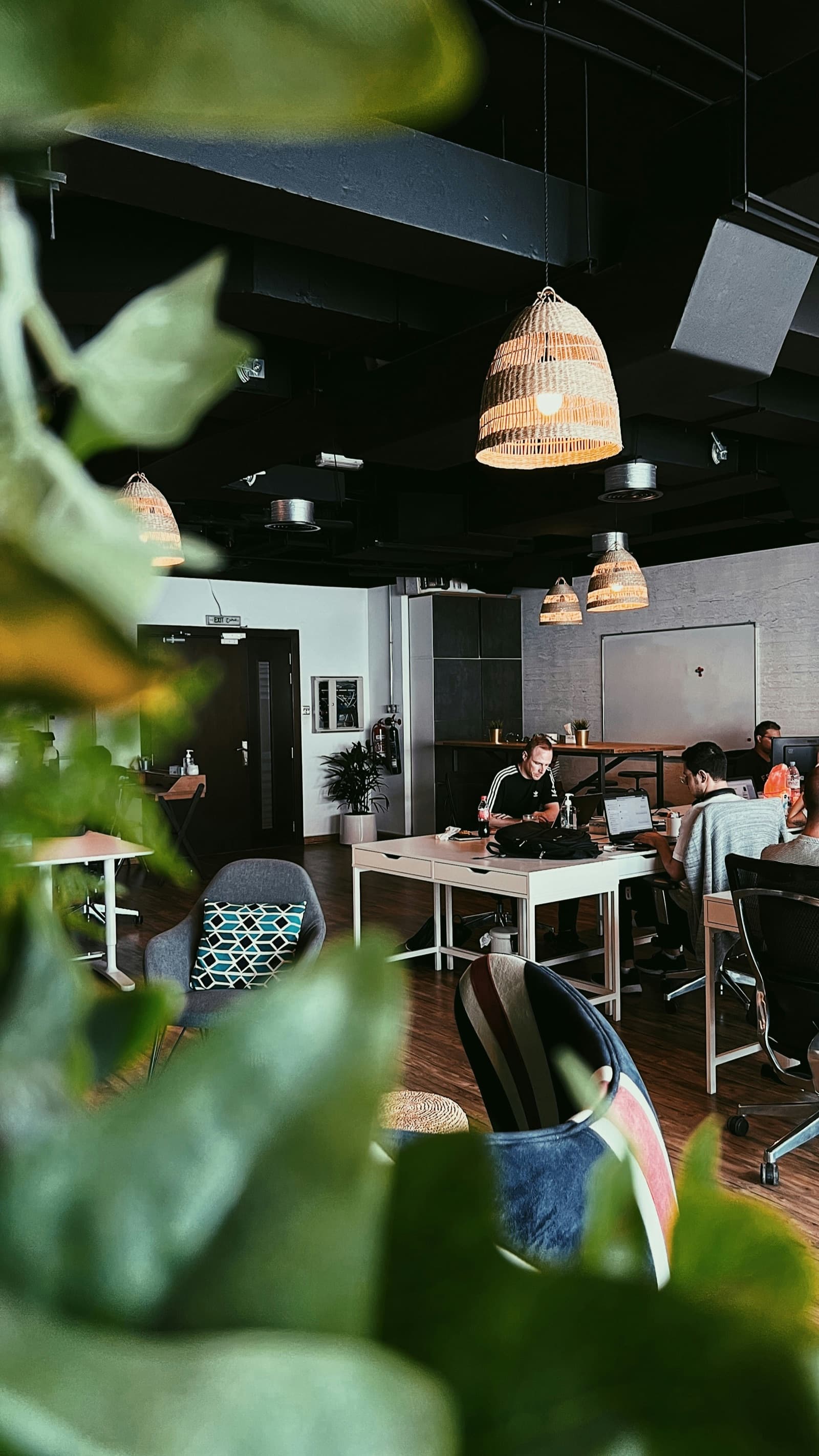 Ecommerce Store Development